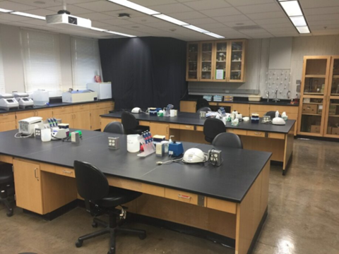 image of dry bench lab